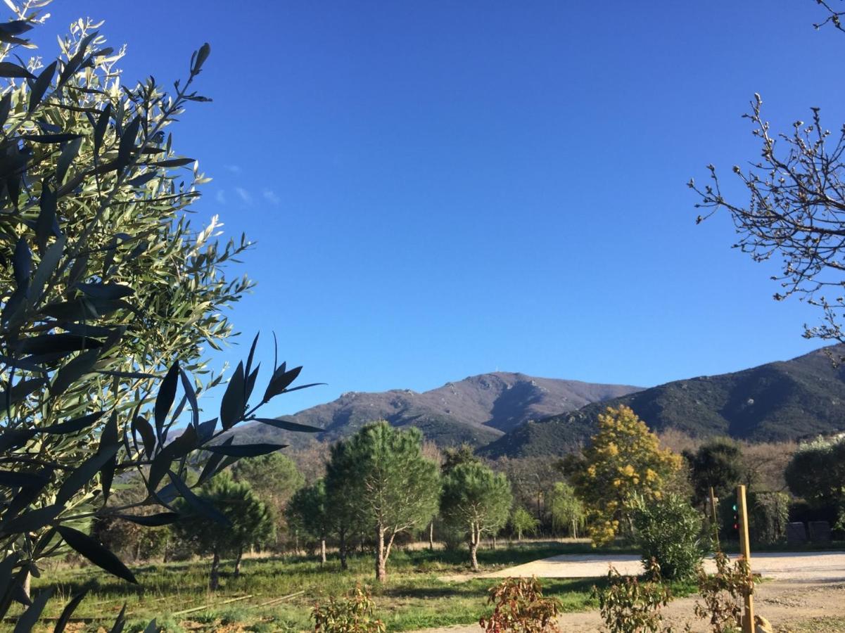 Domaine Pedra Llampada Gite Cerise Villelongue-dels-Monts المظهر الخارجي الصورة