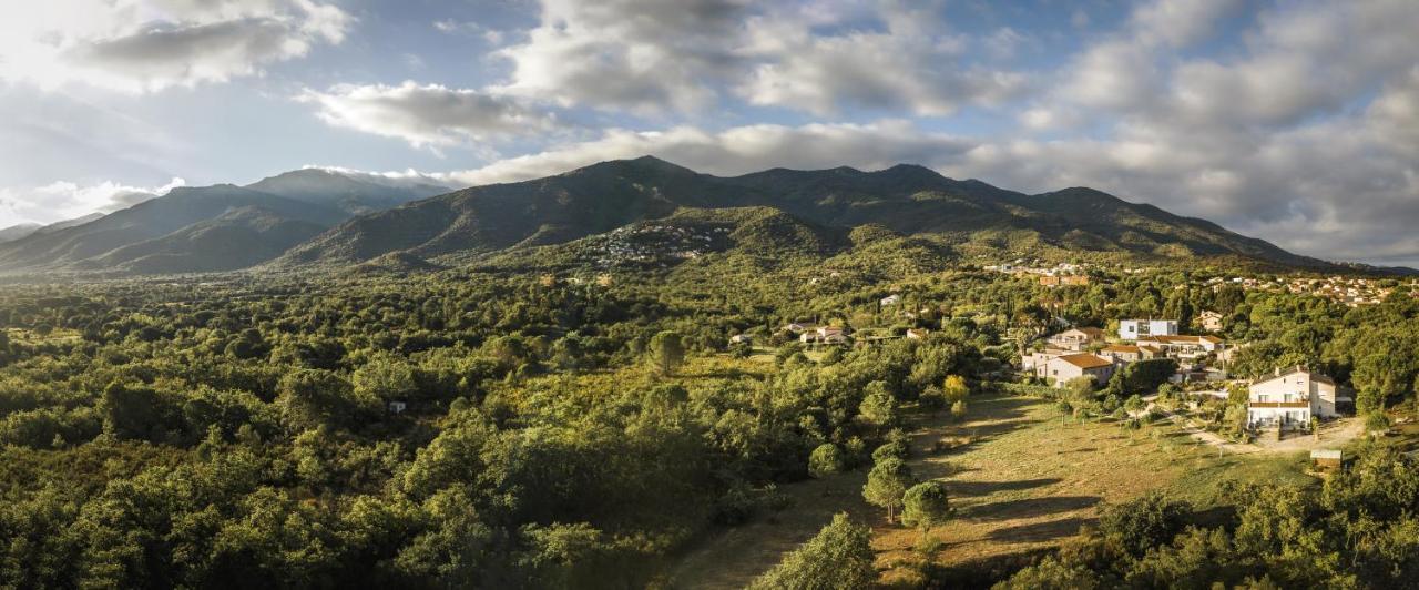 Domaine Pedra Llampada Gite Cerise Villelongue-dels-Monts المظهر الخارجي الصورة